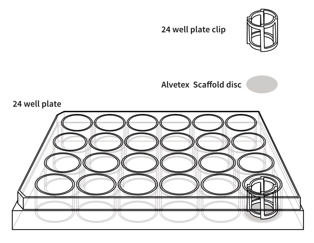 צלחת 24 בארות Alvetex® Scaffold