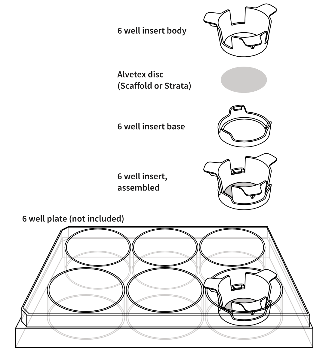 ® Scaffold 6 แผ่นแทรกสำหรับหลุม 6