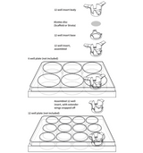 מַשְׁחִילֵי Alvetex® Strata ל-12 בארות