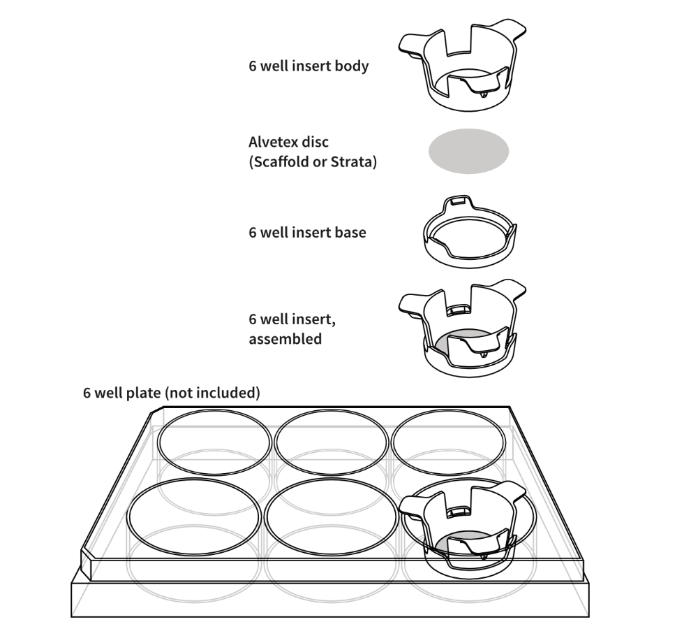 ® Strata 6 แผ่นแทรกบ่อ