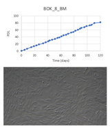 <tc>WildBio</tc> スプリングボック MSC細胞株 – 骨髄