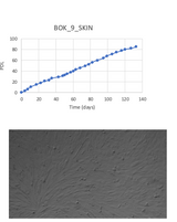 <tc>WildBio</tc> スプリングボック線維芽細胞株 – 皮膚