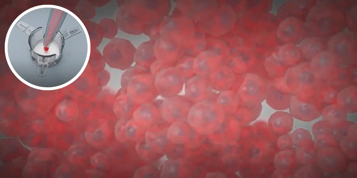 Alvetex® アドバンスト シングルウェルプレート