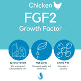 Defined Bioscience FGF2 Growth Factor (Chicken)