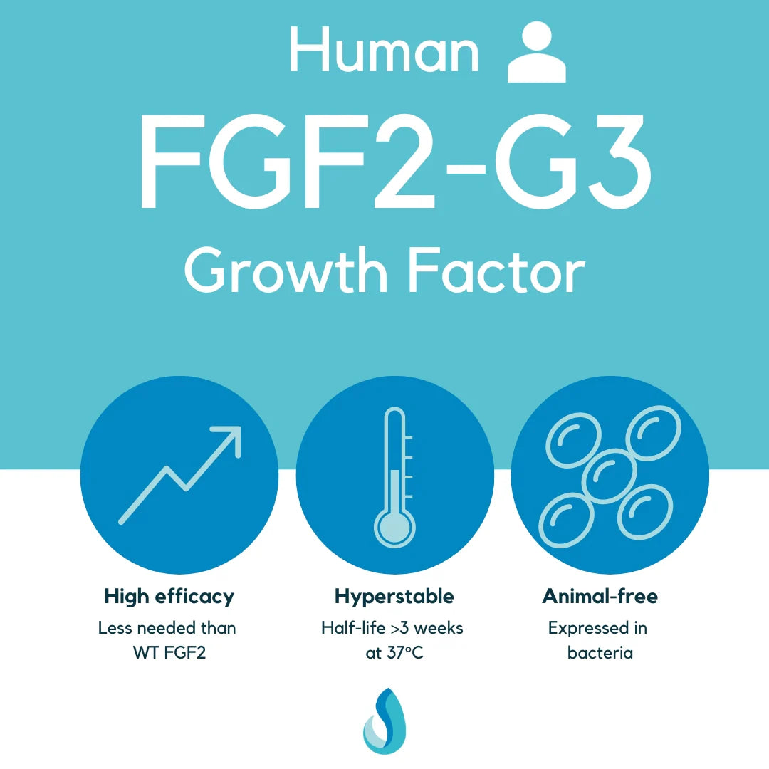 Defined Bioscience FGF2-G3 Growth Factor (Human)