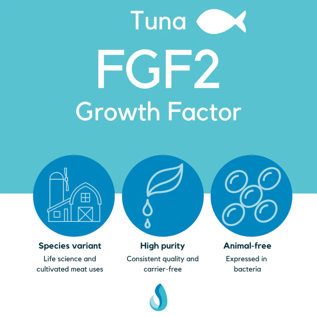 Defined Bioscience FGF2 Growth Factor (Tuna)