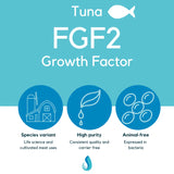 Defined Bioscience FGF2 Growth Factor (Tuna)