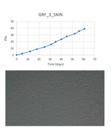 <tc>WildBio</tc> キリン線維芽細胞株 – 皮膚
