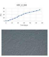 <tc>WildBio</tc> קו תאי MSC של ג'ירפה – מח עצם