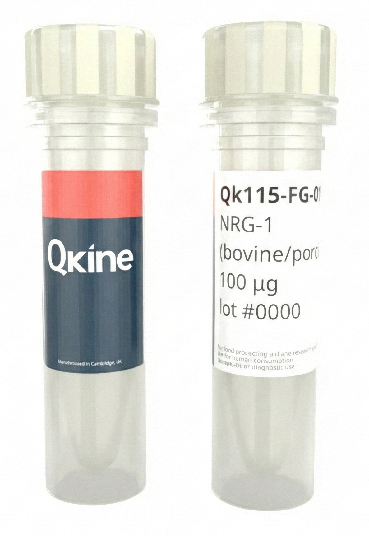 <tc>Qkine</tc> Rekombinowane białko NRG-1 bydlęce/świńskie