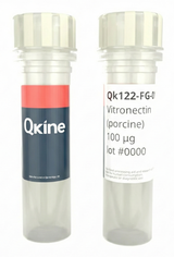 <tc>Qkine</tc> Rekombinowane białko witronektyny wieprzowej