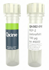 <tc>Qkine</tc> पुनः संयोजित ज़ेब्राफ़िश FGF-2 प्रोटीन