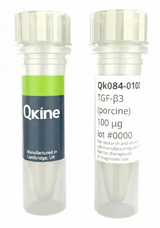 <tc>Qkine</tc> पुनः संयोजित पोर्सिन TGF-β3 प्रोटीन