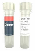 Qkine Recombinant Bovine/Porcine FGF2-G3 (154 Aa) Protein