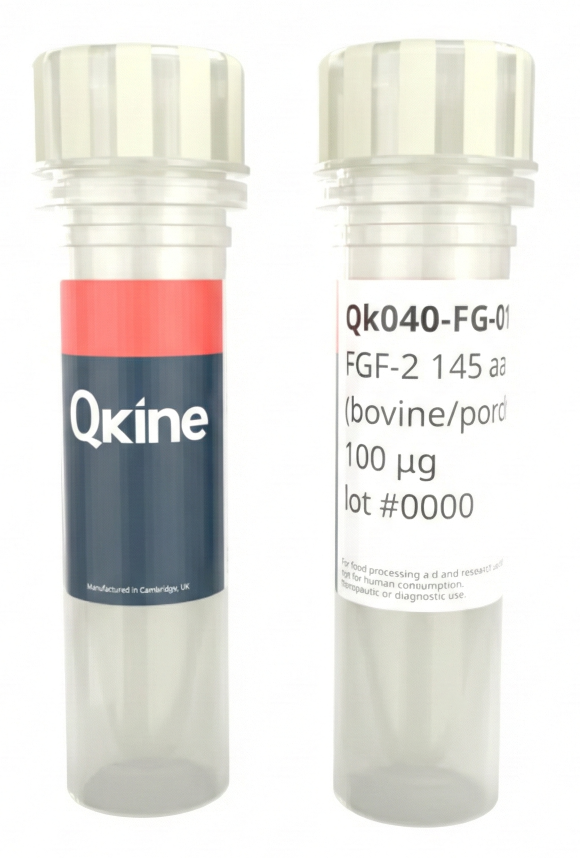 <tc>Qkine</tc> पुनः संयोजित बोवाइन/पॉर्सिन FGF-2 (145 अमीनो एसिड) प्रोटीन