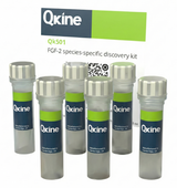 <tc>Qkine</tc> Zestaw do odkrywania FGF-2 dopasowany do gatunku