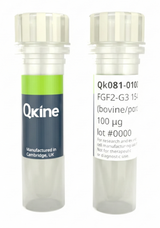 <tc>Qkine</tc> Rekombinowane białko FGF2-G3 bydlęce/świńskie (154 aminokwasy)