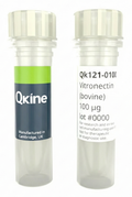 Qkine Recombinant Bovine Vitronectin Protein