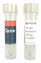 <tc>Qkine</tc> Rekombinowane białko TGF-β2 bydlęce/świńskie