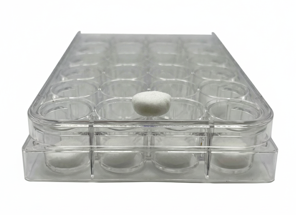 Nexture Bio Sponge Scaffold