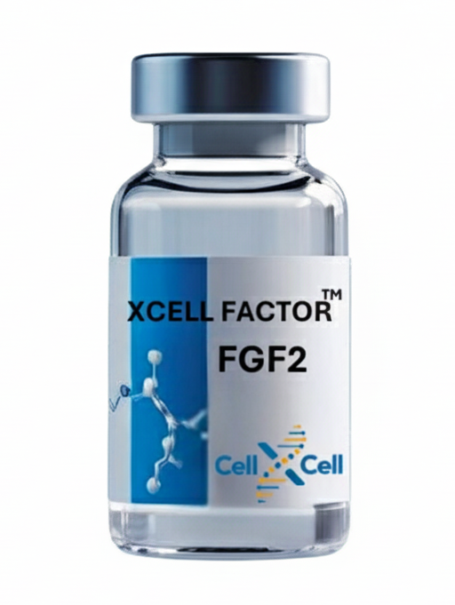 XCeLL Factor™ FGF2