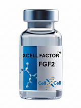 XCeLL Factor™ FGF2