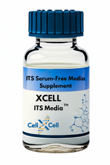XCeLL ITS Media™
