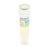 Defined Bioscience HiDef® B8 Stem Cell Growth Medium
