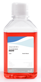 KCell M199