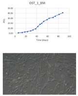 <tc>WildBio</tc> เซลล์ไลน์ MSC นกกระจอกเทศ – ไขกระดูก