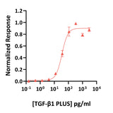 <tc>Qkine</tc> पुनः संयोजित बोवाइन/पॉर्सिन TGF-β1 PLUS™ प्रोटीन