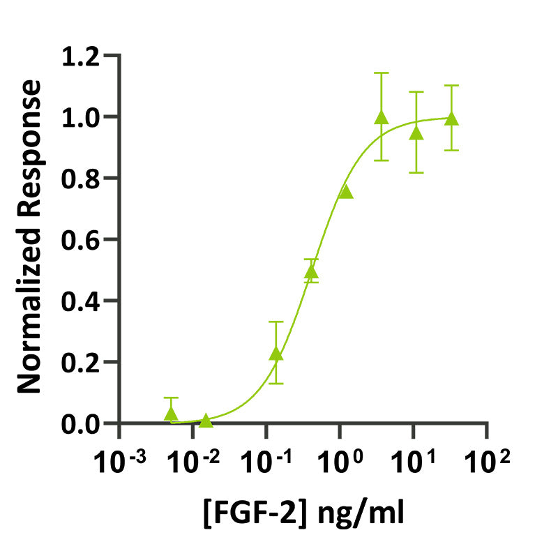 <tc>Qkine</tc> पुनः संयोजित ज़ेब्राफ़िश FGF-2 प्रोटीन