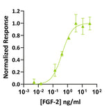 <tc>Qkine</tc> पुनः संयोजित ज़ेब्राफ़िश FGF-2 प्रोटीन