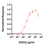 <tc>Qkine</tc> Rekombinowane białko FGF-2 kurczaka/kaczki (145 aminokwasów)