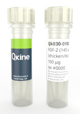 Rekombinowane białko FGF-2 kurczaka/kaczki (145 aminokwasów)