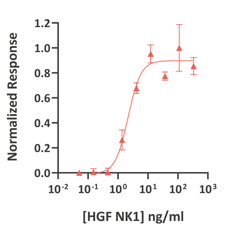 <tc>Qkine</tc> Rekombinowane białko HGF NK1 bydła