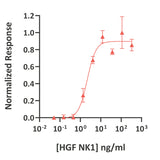 <tc>Qkine</tc> Rekombinowane białko HGF NK1 bydła
