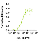 <tc>Qkine</tc> Rekombinowane białko EGF świńskie