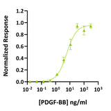 <tc>Qkine</tc> Rekombinowane białko PDGF-BB bydlęce