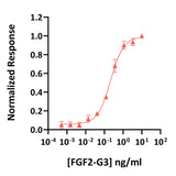 <tc>Qkine</tc> Rekombinowane białko FGF2-G3 bydlęce/świńskie (145 Aa)