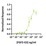 <tc>Qkine</tc> Rekombinowane białko FGF2-G3 bydlęce/świńskie (154 aminokwasy)