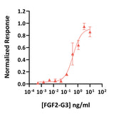 <tc>Qkine</tc> Rekombinowane białko FGF2-G3 bydlęce/świńskie (154 aminokwasy)
