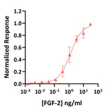 <tc>Qkine</tc> पुनः संयोजित सैल्मन FGF-2 (154 अमीनो एसिड) प्रोटीन