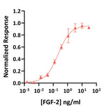 <tc>Qkine</tc> Rekombinowane białko FGF-2 tuńczyka (154 aminokwasy)