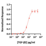 <tc>Qkine</tc> Rekombinowane białko TGF-β2 bydlęce/świńskie