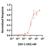 <tc>Qkine</tc> Rekombinowane białko IGF-1 LR3 bydlęce/świńskie