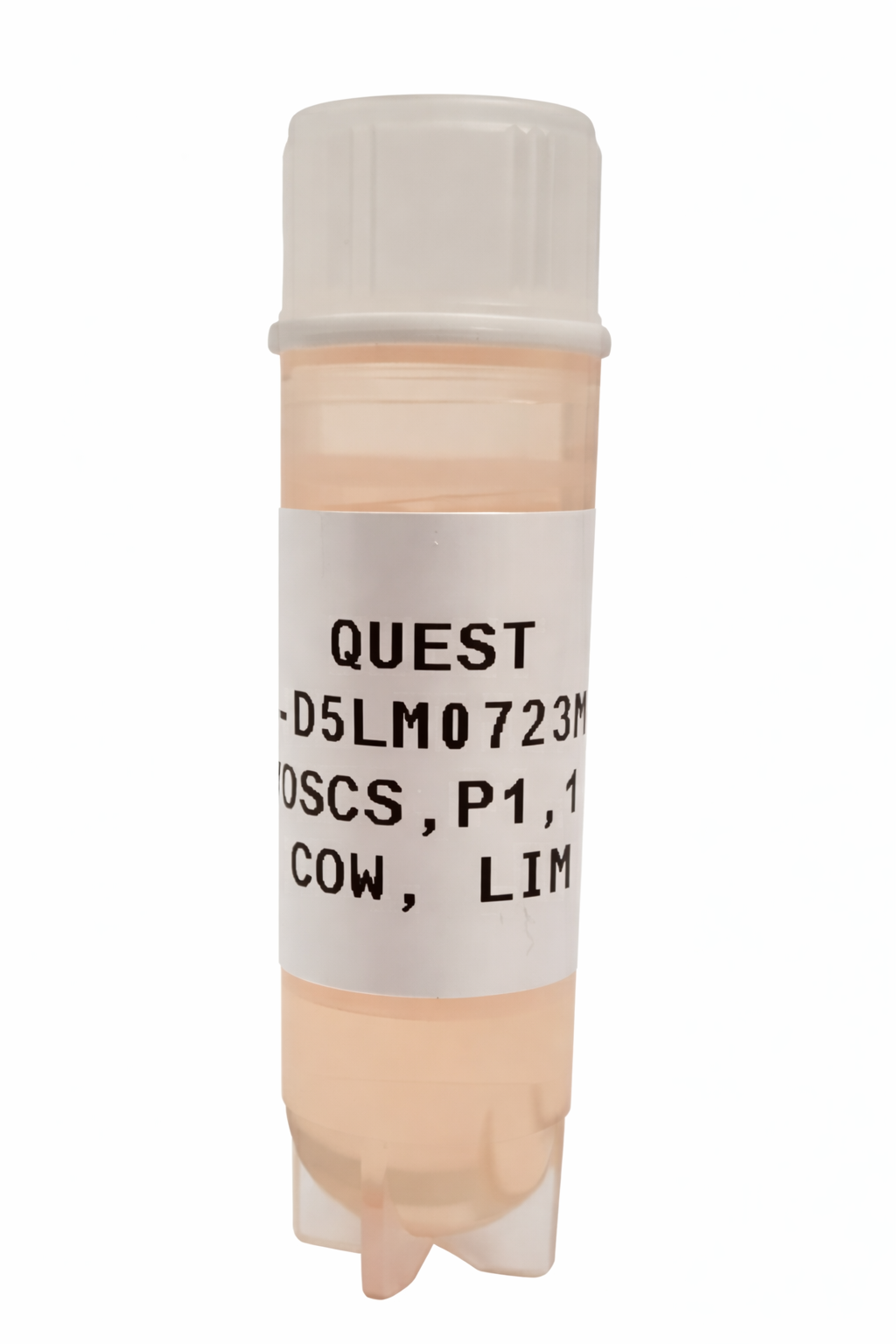 Quest Bovine Primary Cell Lines - Limousine Myosatellite