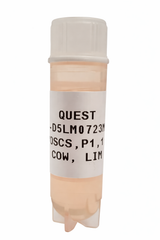 Quest Bovine Primary Cell Lines - Limousine Myosatellite