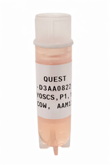 Quest Bovine Primary Cell Lines - Aberdeen Angus Cross Myosatellite