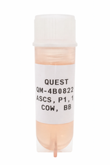 Quest Bovine Primary Cell Lines - British Blue Myosatellite